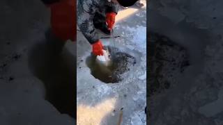 amazing fishing experience part eighty seven 87 #fishing #fish