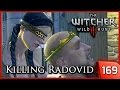 The Witcher 3 ► King Radovid's Assassination, Dijkstra Dies - Reason of State #169