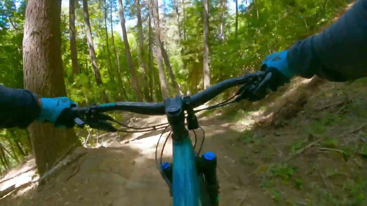 Braille Trail | SDSF | Santa Cruz Chameleon |