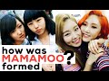 How MAMAMOO was Formed | Supposed to be a 5 member group?! (마마무)