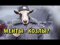 Менты - козлы?