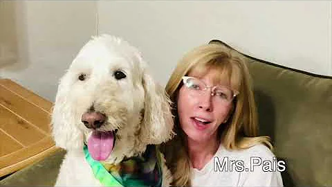 Coral Shores Teachers Rock!! Don't Worry Pic Video