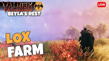 Taming Lox & Farm | Beyla’s Rest – Valheim (Ep. 18)