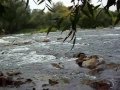 Река Сейм ( Максимова круча и Шумы)