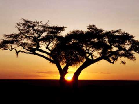 Dj-Corny - Africa (Bootleg Radio Cut)