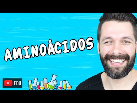 Vídeo: Os aminoácidos em excesso são quebrados?