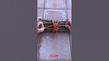 How to Bundle git #shorts #knottutorial #diy #git #bundlegit @DoiT_03