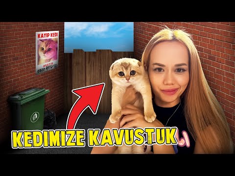 KEDİMİZLE KAVUŞTUK !? ( Öykü Çok Mutlu Oldu! ) @OykuKarta