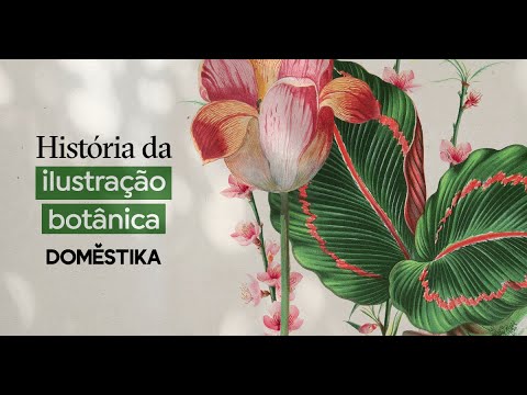 Vídeo: Princesa Budur dentro e nos bastidores: Como foi o destino do personagem principal de 