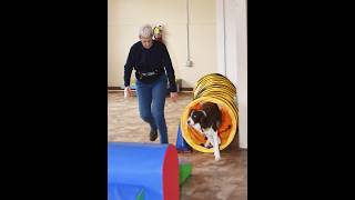 Agility for Fun February 9, 2020