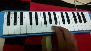 Not pianika korban janji