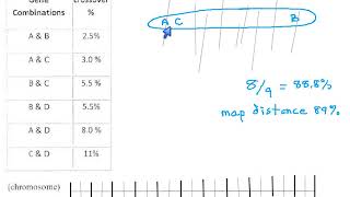 81 - Gene Mapping (p67)