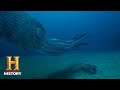 Ancient Aliens: GIANT SQUID LINKED TO DEEP SEA ALIEN LIFE (Season 14) | History