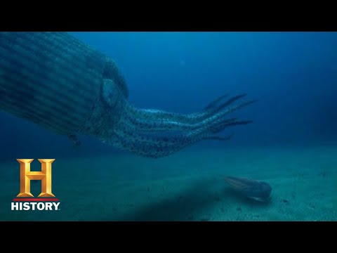 Ancient Aliens: GIANT SQUID LINKED TO DEEP SEA ALIEN LIFE (Season 14) | History