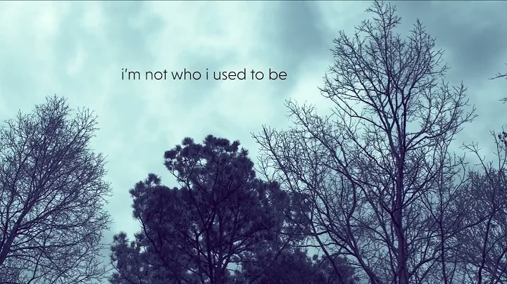 Not Who I Used To Be (lyric video) Michelle Malone