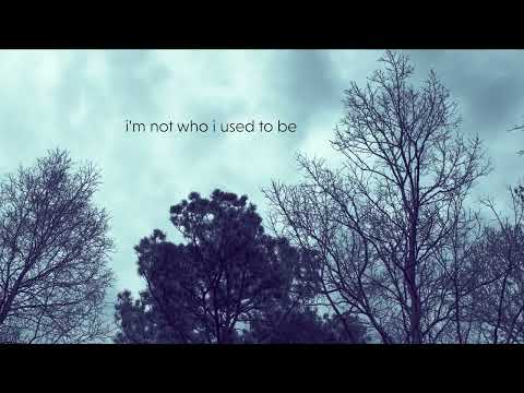 Not Who I Used To Be (lyric video) Michelle Malone