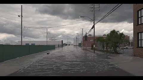 "Red Hook Resiliency  Project"  for NYC Department...