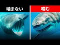 史上最高に神秘的な海の生き物とは（すべてのサメが人を噛むわけじゃありませんよ）