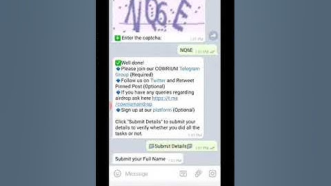 I will create a professional telegram airdrop bot for you - Chatbots Services