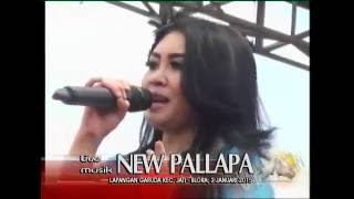 Kugapai cintamu   Ani Arlita New PALLAPA SERDADU terbaru 2016  Merpati Vision