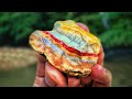 We Found BEAUTIFUL Agates in Kentucky and Cut Them Open on a Rock Saw | Kentucky Rockhounding