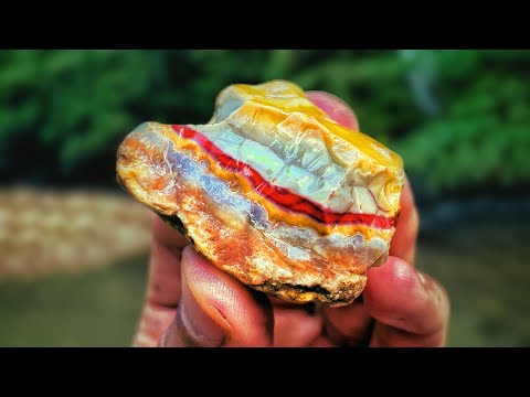 We Found BEAUTIFUL Agates in Kentucky and Cut Them Open on a Rock Saw | Kentucky Rockhounding