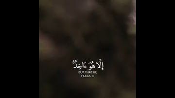 اني توكلت على الله ربي وربكم |تلاوه هادئه | رعد الكردي