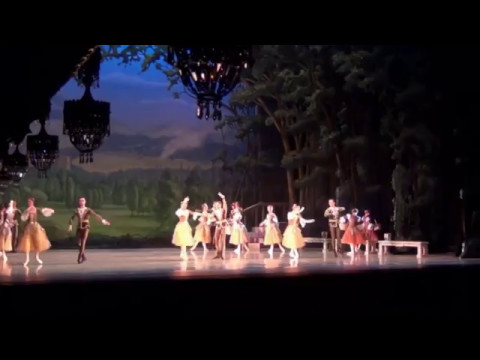 \"გედების ტბა\" პრემიერა ოპერისა და ბალეტის თეატრში