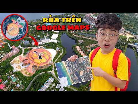 Thắng Tê Tê Dẫn Bạn Voi Đi Tìm Địa Điểm Bí Ẩn Có Hình Con Rùa ở Trên Google Maps