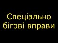 Спеціально бігові вправи