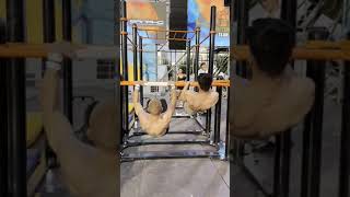 calisthenics streetworkout (competition) #streetworkout  #calisthenics #sports #workout #motivation