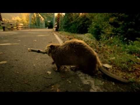 Superbowl 2011 Bridgestone Commercial: "Carma" Superbowl 2011 Bridgestone Commercial: "Carma"