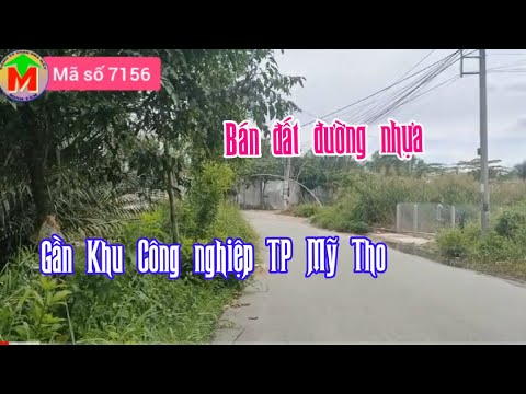 Video Bán đất thổ cư đường nhựa gần Khu Công nghiệp TP Mỹ... - youtube