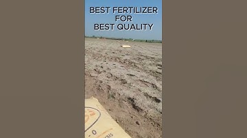 Choosing the Perfect Fertilizer for Farm Success! 🌾 - Sona Dap 50kg Fauji #fertilizer