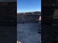Building the Range Day 2 #range #shootingrange #shooting #shortvideo #shortsfeed #short #shorts #gun