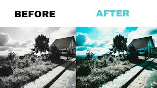 COLOURIZE a Black & white photo in lightroom mobile (without presets) screenshot 3