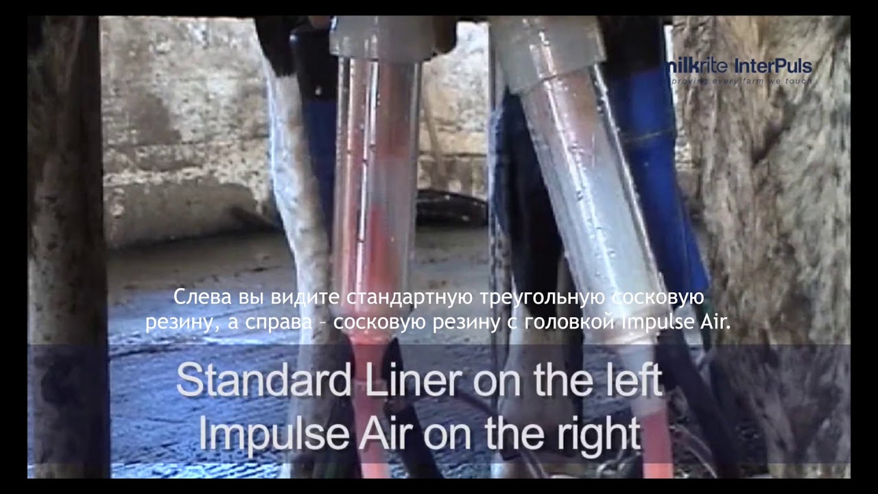 Impulse Air RUS   короткое видео технология