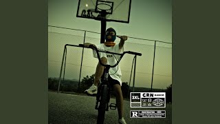 Vince Carter