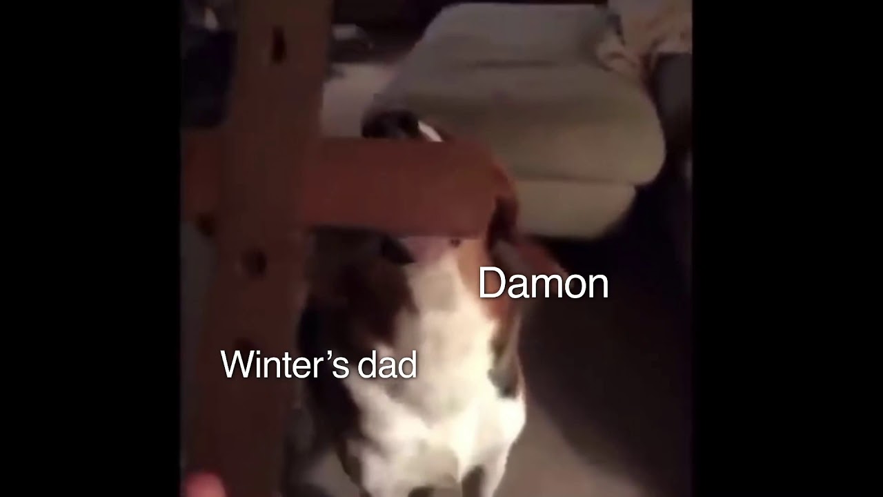 devil’s night as vines except I have the memory of a goldfish