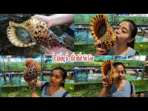 Video Ăn ốc Nữ hoàng khổng lồ đắt nhất Sài Gòn ở nhà hàng ẩm... - youtube