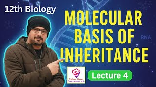 Class 12 Biology | Ch: 5 | Molecular Basis of Inheritance | CBSE&amp; UP Board | 2026 Board Exams | L -4