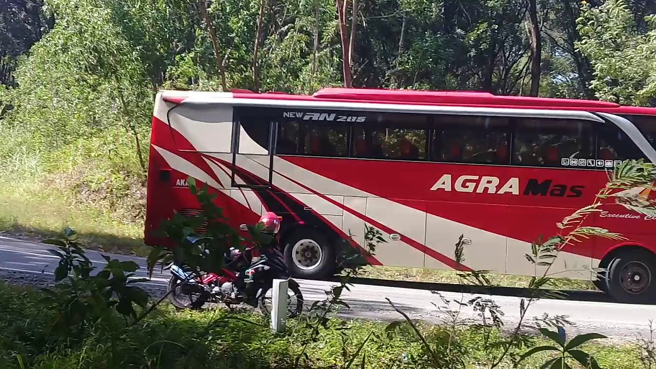 BUS (manuver bis pelari pacitan jakarta,pacitan solo)
