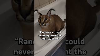 A Cat that Represented the 2021 Era 😾 #floppa #bigfloppa #caracal #catmeme