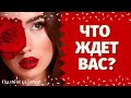 ДА или НЕТ? ЗАДАЙТЕ ВОПРОС И ПОЛУЧИТЕ ОТВЕТ! ИСПОЛНИТСЯ ЛИ МОЁ ЖЕЛАНИЕ? ИСПОЛНИТСЯ ЛИ ЗАГАДАННОЕ?