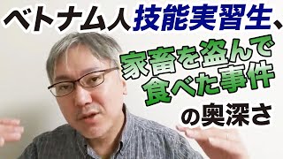ベトナム人技能実習生、家畜を盗んで、駐車場で焼いて食べてしまった事件の奥深さについて【コロナの被害者？ 現代の奴隷？】ブローカーの暗躍／最低賃金／教育／帰化