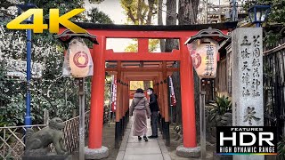 ⛩️ [4K Hdr] So Cute! Visit Of Hanazono Inari Jinja Shrine In Ueno Park | Tokyo, Japan 🇯🇵