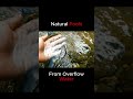 Overflow Water → Natural Swimming Pools