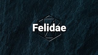 SawanoHiroyuki[nZk]- Felidae (Ver.Live )[ซับไทย]