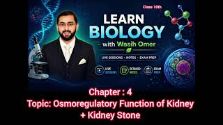 Lec # 4 Chapter 4 Topic:  Osmoregulatory function of kidney + Kidney Stone Class 10th