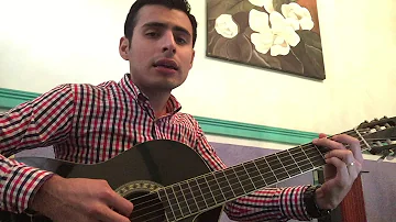 Te vas - Perdidos de Sinaloa / Javier Rochin (Cover)